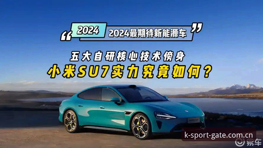 K体育推荐入口下载不了怎么办？行业观察者深度解析2024年解决方案